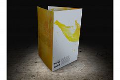 Large Trifold Brochure Mockup Product Image 9