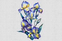 Bouquet of blue irises PNG watercolor set Product Image 2