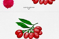 Watercolor Fruits Vol. 3 Product Image 9