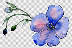 Wildflower blue flax PNG watercolor set Product Image 4