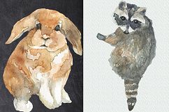 Woodland Watercolor clip art Product Image 4