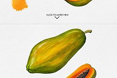 Watercolor Fruits Vol. 3 Product Image 11