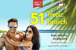 51 Tropic Tree Branch Photo overlays Product Image 1