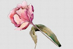 Colorful tulips PNG watercolor flower set Product Image 4