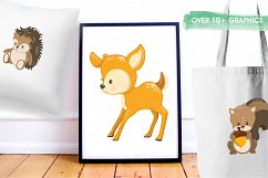 Woodland Animals graphics and illustrations Product Image 5