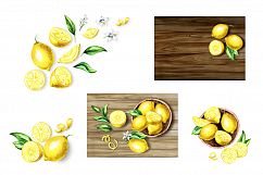 Fresh Lemon. Watercolor collection Product Image 7