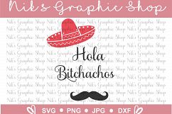 Hola svg, hola bitchachos, bitchachos svg, hola cut files Product Image 3