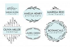 Botanicals, Vector Illustrations  Product Image 2