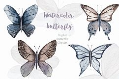 Spring watercolor butterfly Watercolor clipart illustration Product Image 3