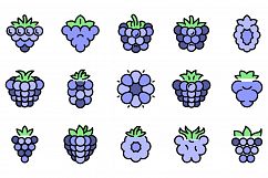 Blackberry icons vector flat Product Image 1