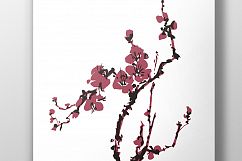 Sakura japan cherry branch with blooming flowers Product Image 2