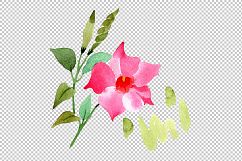 Wildflower pink dipladies PNG watercolor set   Product Image 2