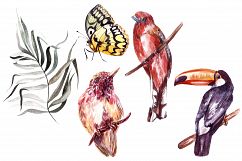 Hand Drawn Watercolor Tropic 3 Product Image 4