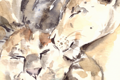 Lion Family - Watercolor Print + Clip Art Product Image 3
