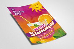 Summer Picnic Fun Party Flyer Product Image 2