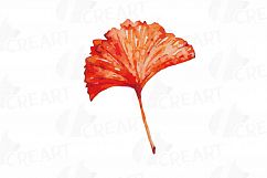 Autumn leafs watercolor clip art pack, watercolor fall frame Product Image 15