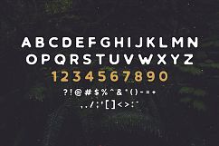 Retrospective Bundle - Fonts &amp; Logos Product Image 2