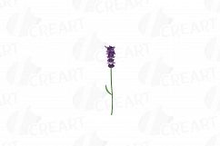 Lavender leaves and bouquets watercolor clip art pack, Lavender design elements. PNG, jpg, svg, vector illustrator&amp; corel files included Product Image 2