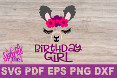 LLama Party, Llama birthday, LLama Face svg,  Girl Llama svg,  Llama face svg, llama shirt svg, llama svg, llama shirt for girls svg Product Image 2