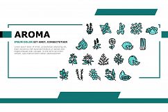 Aromatherapy Herbs Landing Header Vector Product Image 1