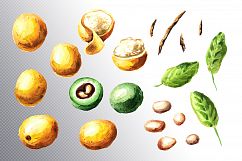 Marula Product Image 6