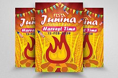 10 Festa Junina Flyers Bundle Product Image 9