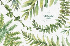 Watercolor herbs. Clipart collection Product Image 2