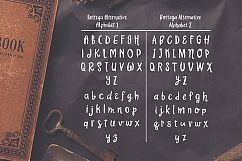 Bottega Handwritten Alphabets SVG Cut Files Product Image 3