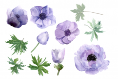 Purple Anemone Watercolor Clip Art Set + Wreath Product Image 2