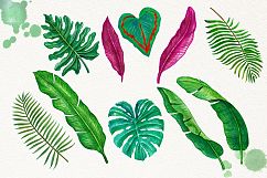 Tropical Leaves in the Jungle Product Image 4