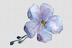 Wildflower blue flax PNG watercolor set Product Image 3