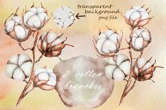 Cotton watercolor clip art Product Image 6