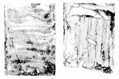 The Black Inklab Vol. 3 Product Image 3