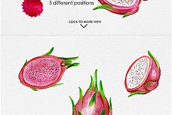 Watercolor Fruits Vol. 4 Product Image 3