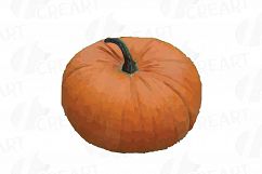 Watercolor pumpkin clip art pack, Pumpkin plant and flowers Product Image 9