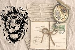Lion head | hand drawn | vector Product Image 5