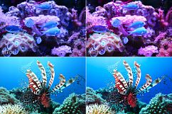 Barrier Reef Lr Presets Product Image 3