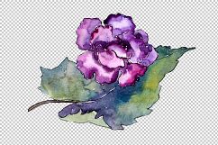 Tropical pink gardenia PNG watercolor flower set Product Image 6