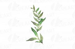 Wild leaves and flowers watercolor clip art pack Product Image 14