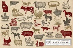 Vintage Farm Animal Vector Graphics Product Image 3