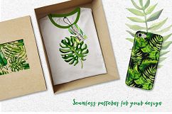 Succulent Tropical leaves PNG watercolor set Product Image 2