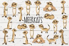 Meerkats Product Image 1