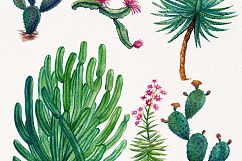 Watercolor Cactuses Product Image 3