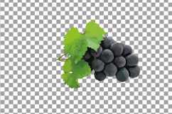 Grapes clip art watercolor wine grape, branch, flowers, leaf Product Image 19