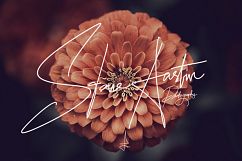 Nine6brush procreate lettering brushes Product Image 11