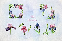 Tender Irises PNG watercolor set Product Image 9