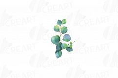 Eucalyptus leaves and branches watercolor clip art pack, Eucalyptus design elements. PNG, jpg, svg, vector illustrator &amp; corel files included Product Image 13
