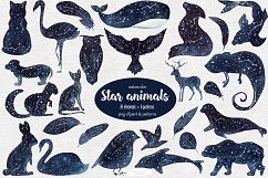 Star animals clipart &amp; patterns Product Image 1