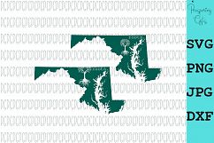 State Roots-All 50 States Product Image 30