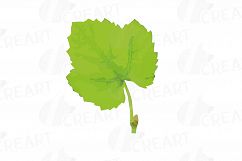 Grapes clip art watercolor wine grape, branch, flowers, leaf Product Image 26